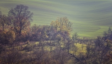 Kunkovice