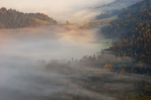 Jesienią się liście