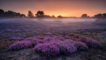 BEFORE AUTUMN