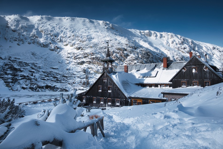 Samotnia w styczniowej scenerii. . Zdjęcie 338211