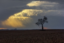 solitude