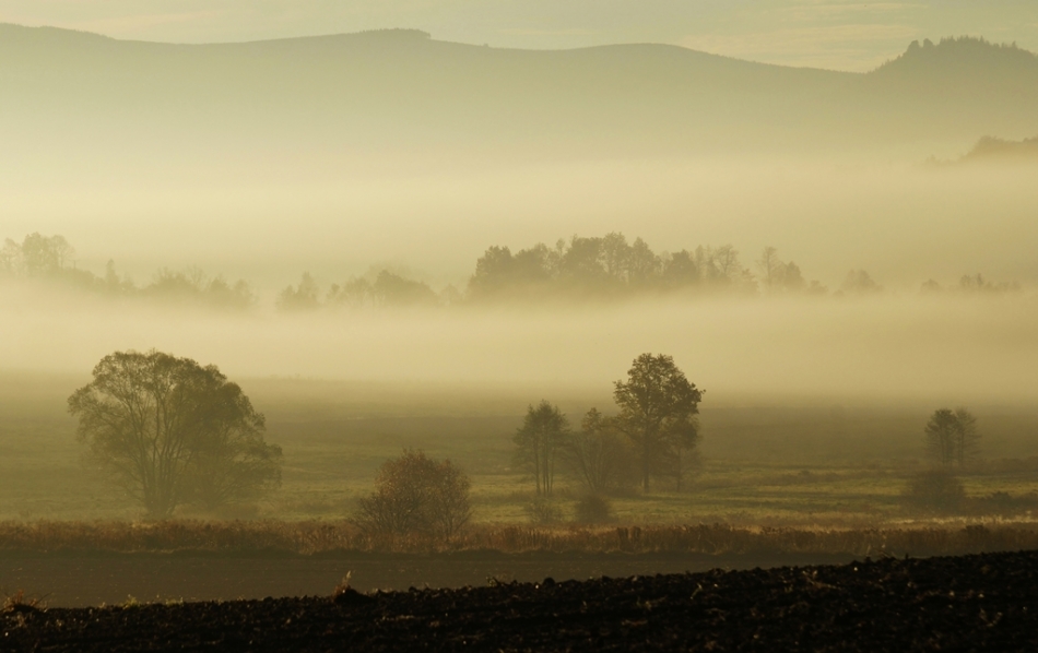 soulmate - mglisty poranek. . Zdjęcie 109353