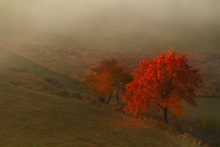 First Day of Autumn