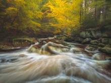 Waves of Autumn II