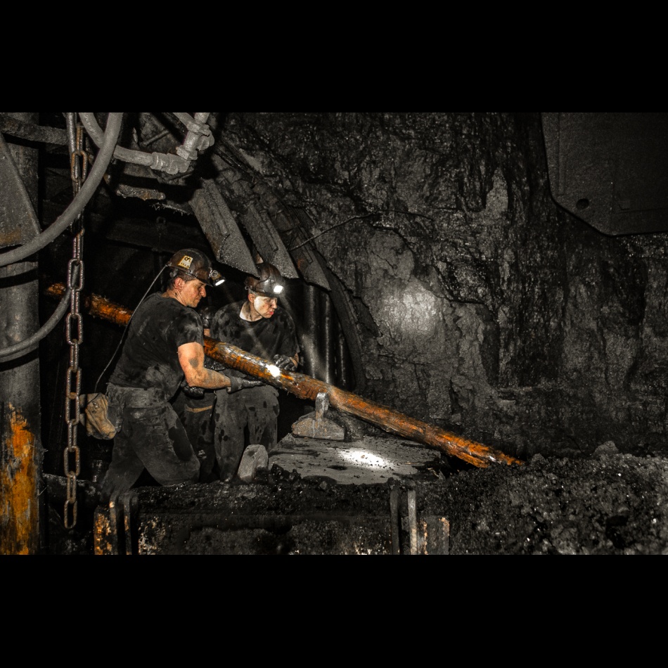 Jeden za jednego . Życie pod ziemią . Zdjęcie 337066