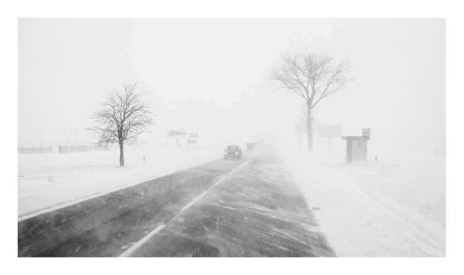 Winter Blizzard. *. Zdjęcie 337915