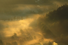 Forgotten Land...