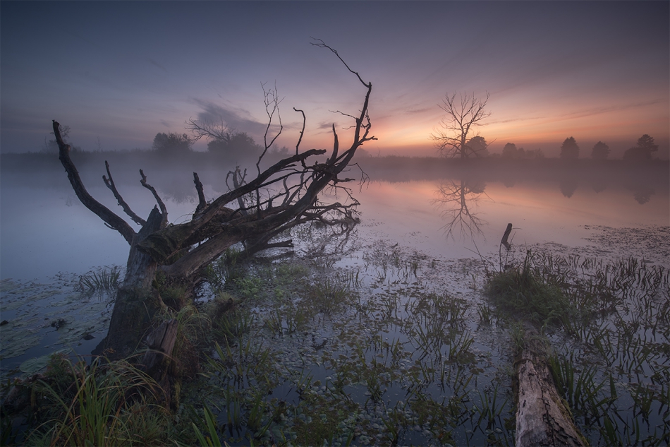 exo_82 - . . Zdjęcie 274991