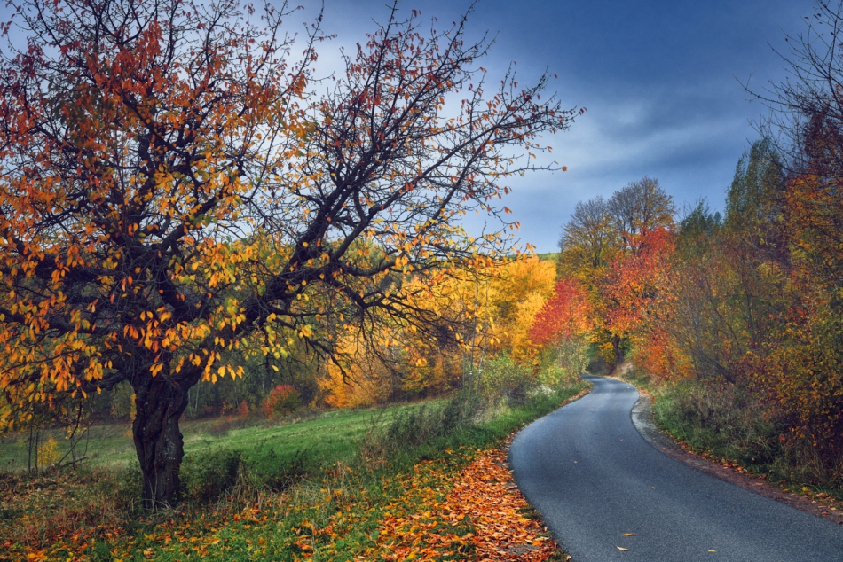 shooter76 - . . Zdjęcie 308328