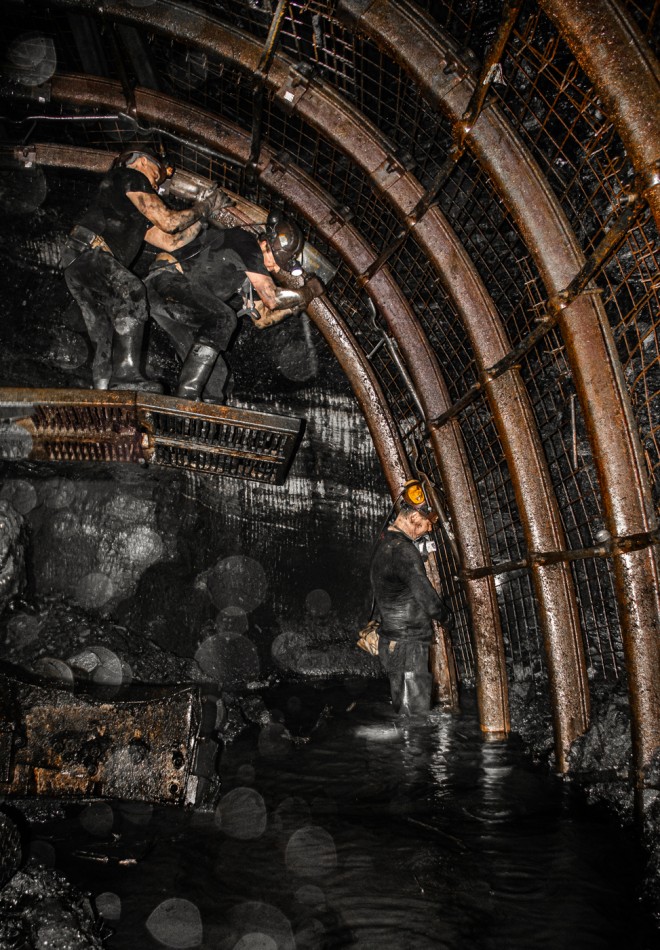 Życie pod ziemią . Kolejny ciężki metr . Zdjęcie 339673