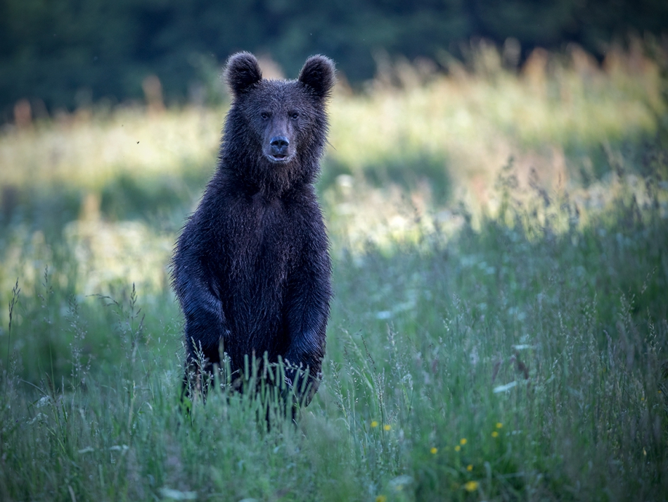 rybo_lub - Widzieliście moją mamę ?. . Zdjęcie 199181