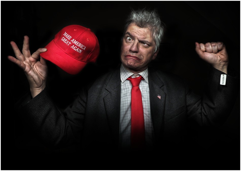 American hawk. . Zdjęcie 339350