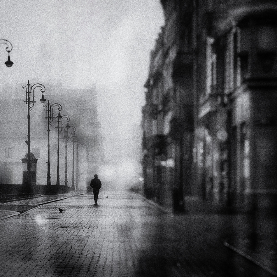 akrims - . . Zdjęcie 316028