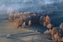 Days of Autumn Trees...