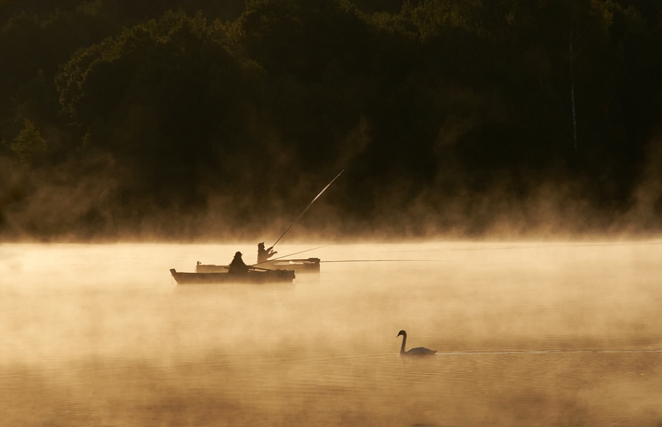 fotoel - Moczykije. . Zdjęcie 56472