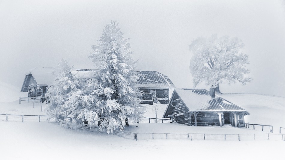 Zima. .. Zdjęcie 338409