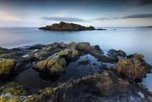 Pearls of Cassillis 