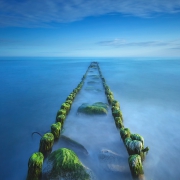 Deep Blue Sea