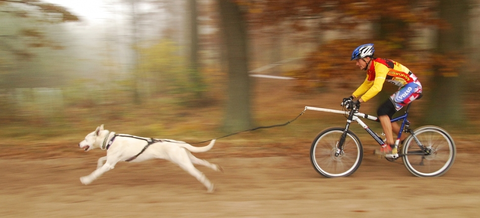 robertpopielarz - Pędzący z wilkiem.... Mistrzostwa Europy ESDRA Off-snow. Zdjęcie 44207