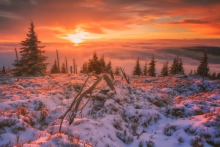 Bowing to the Sun II