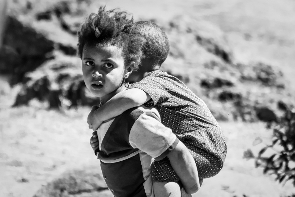 pak76 - . . Zdjęcie 297426