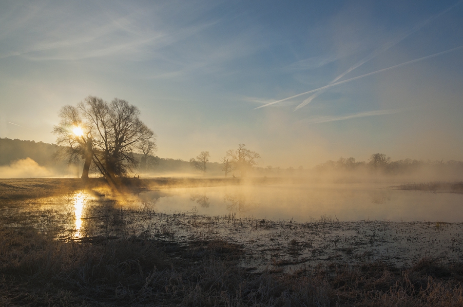 toooomelo - Mglisty poranek 2.. Rogaliński Park Krajobrazowy.. Zdjęcie 170712