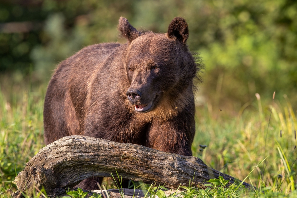 rybo_lub - Sierpień. . Zdjęcie 326276