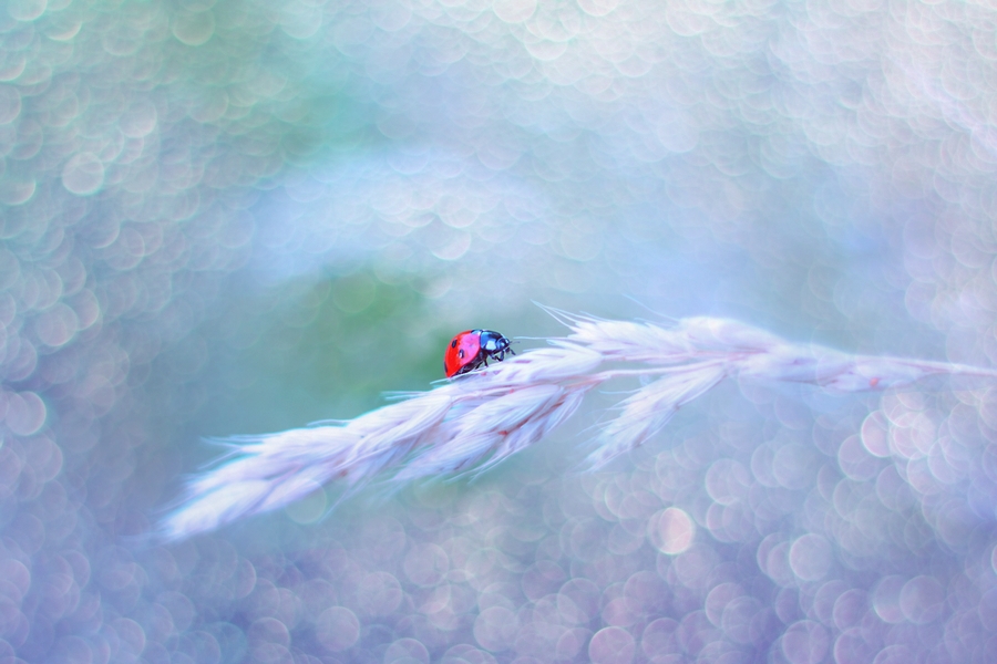 madalia - Mała podróżniczka.... . Zdjęcie 149509