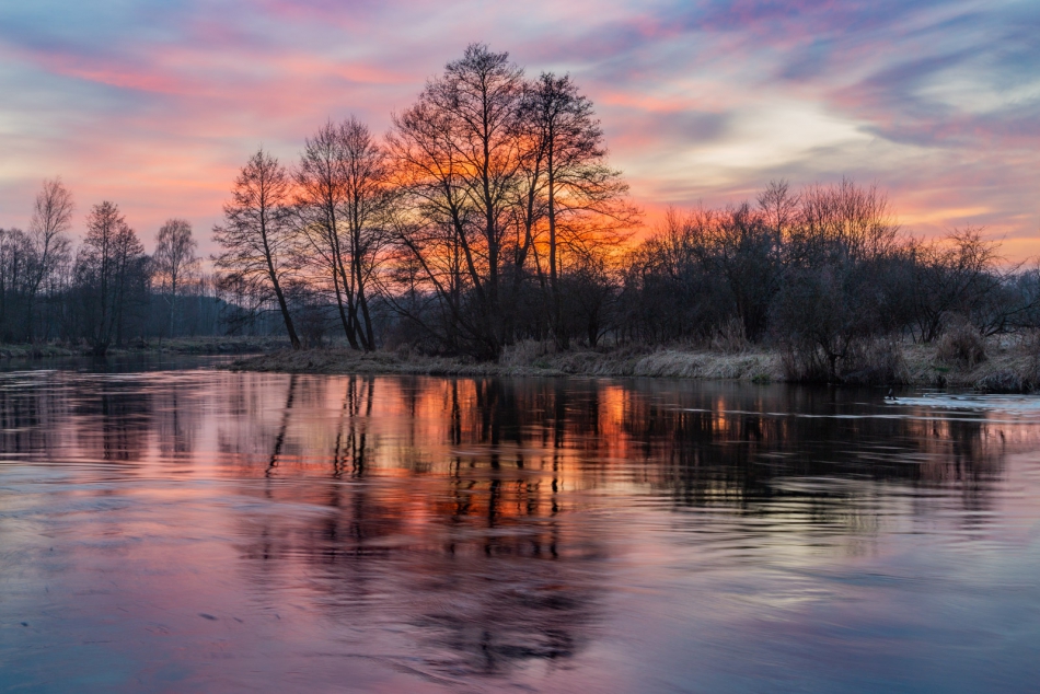 radson_foto - . . Zdjęcie 312088