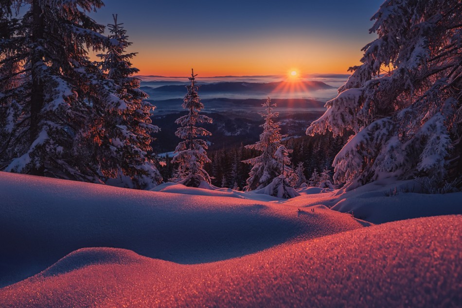 New Day. . Zdjęcie 338689