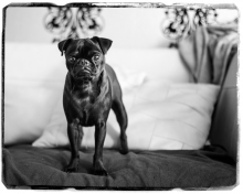 Molly