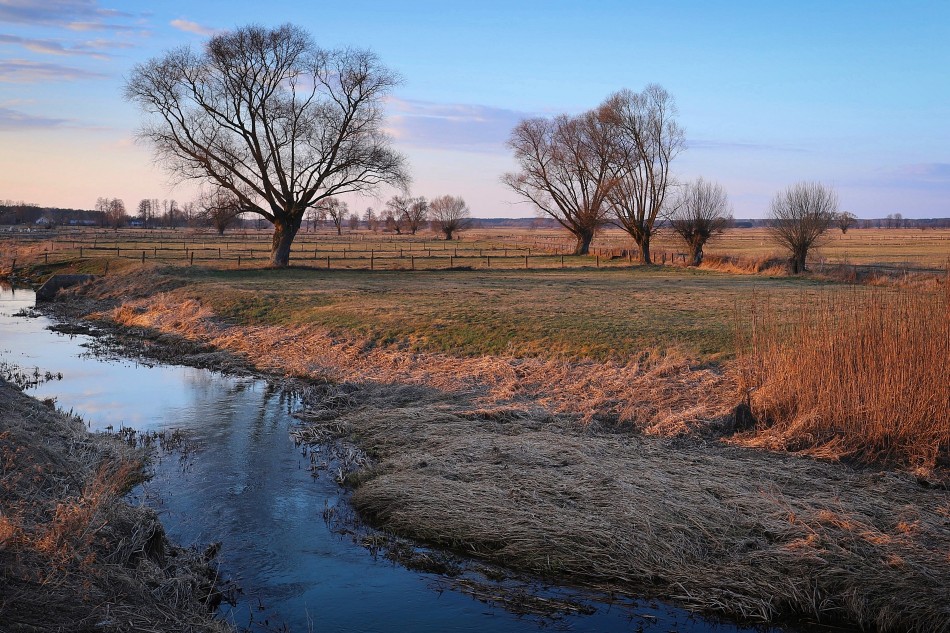 Przedwiośnie na Podlasiu. . Zdjęcie 339577