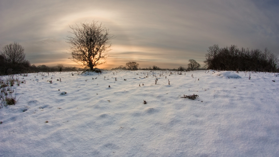 hallo winter :). . Zdjęcie 112647