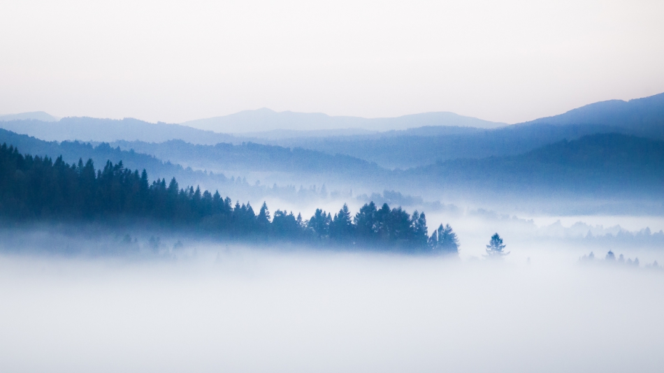 pekulka - . . Zdjęcie 312550