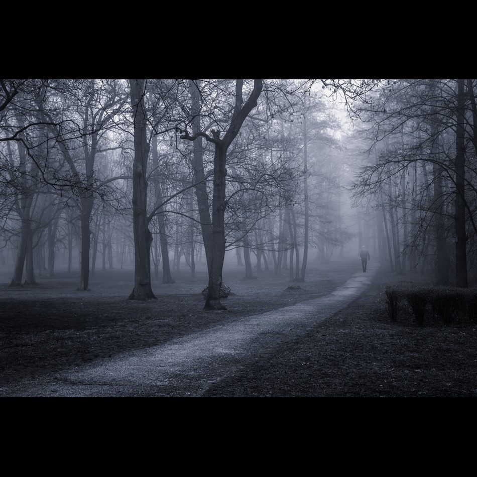 *. . Zdjęcie 337100