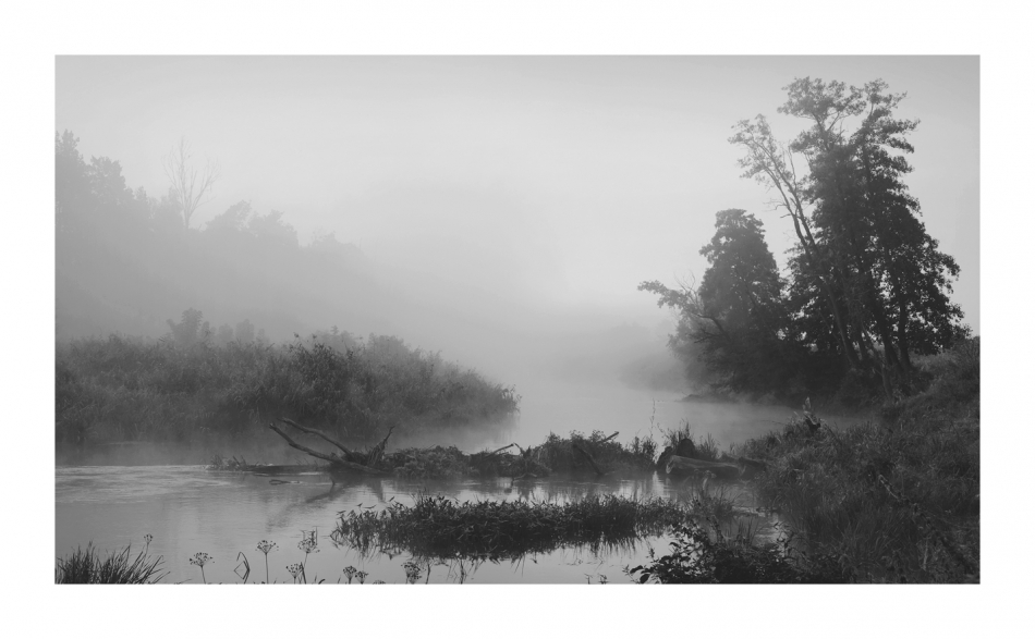 In This River. . Zdjęcie 336199