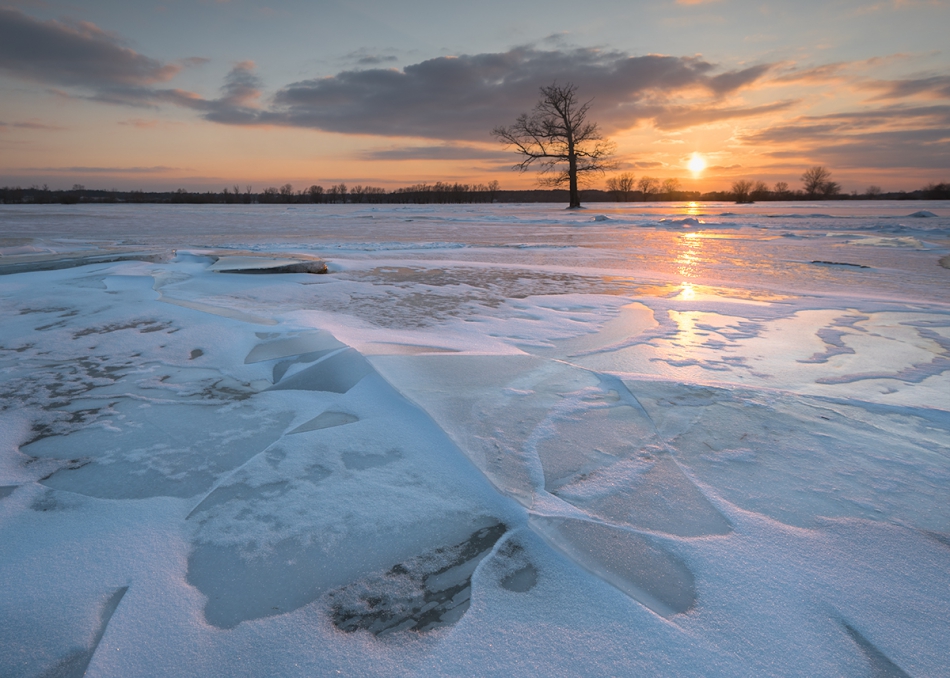 Brak tytułu. . Zdjęcie 214959