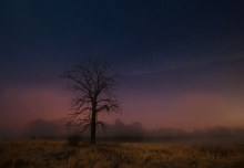 Nocne opowieści
