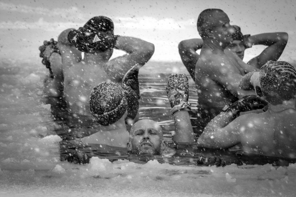 mirtekone - . . Zdjęcie 144095