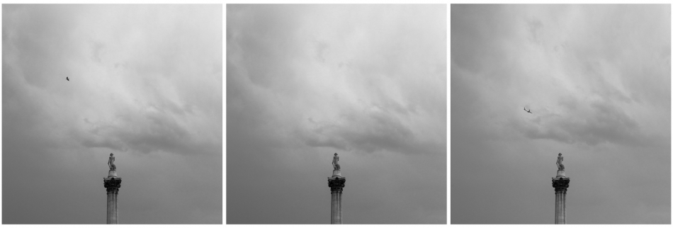 brownsville - POTRÓJNY NELSON. Sekwencja 3 kadrow, bez kreatywnego fotomontazu.. Zdjęcie 245040