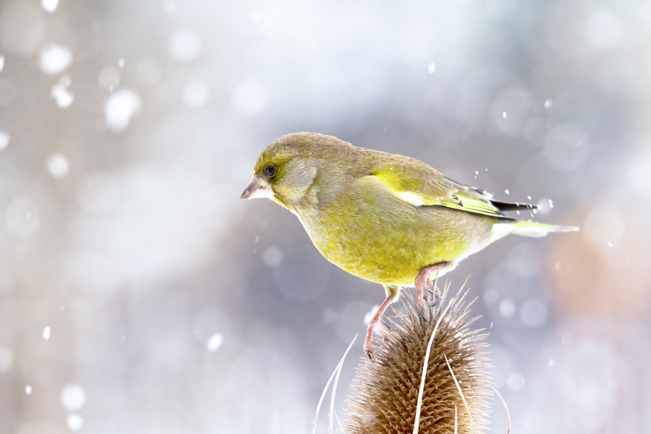 roman53 - . . Zdjęcie 287845