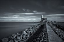 Paard van Marken BW
