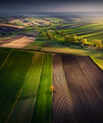 Wiosna na Ponidziu