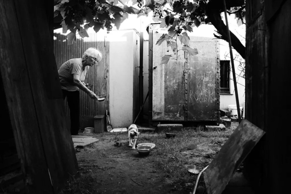 all her cats. . Zdjęcie 337343