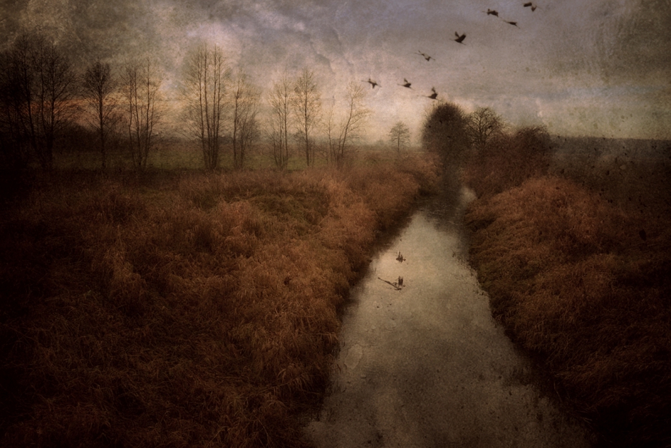 Zapach Polski.... . Zdjęcie 282949