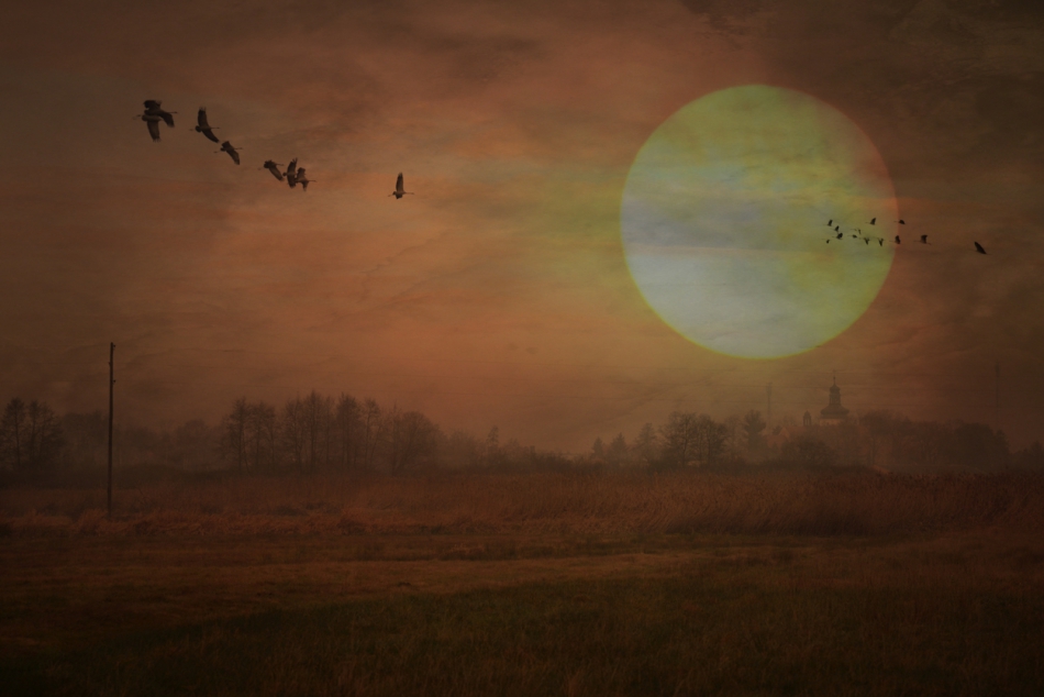 Autumn Is Coming. . Zdjęcie 307422