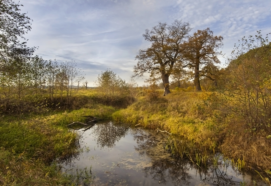 ****. Zapraszam na PE. Zdjęcie 336629