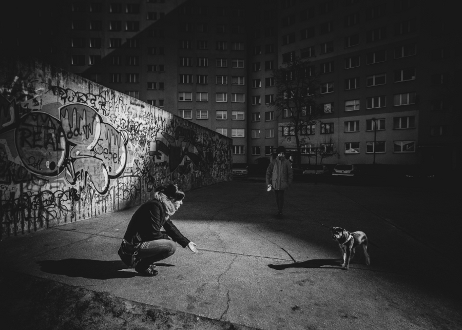 bystrzak - Fafik. . Zdjęcie 77210