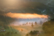 Morning Light ...