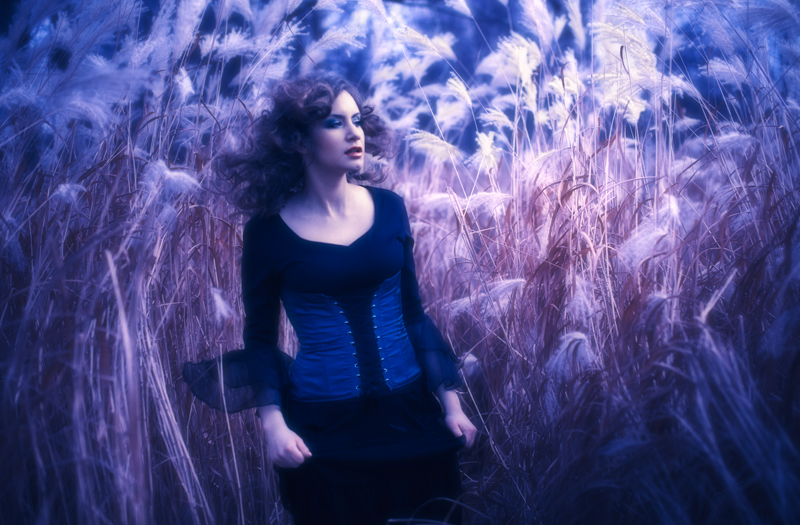 jan_kawa - day-dream. . Zdjęcie 99725